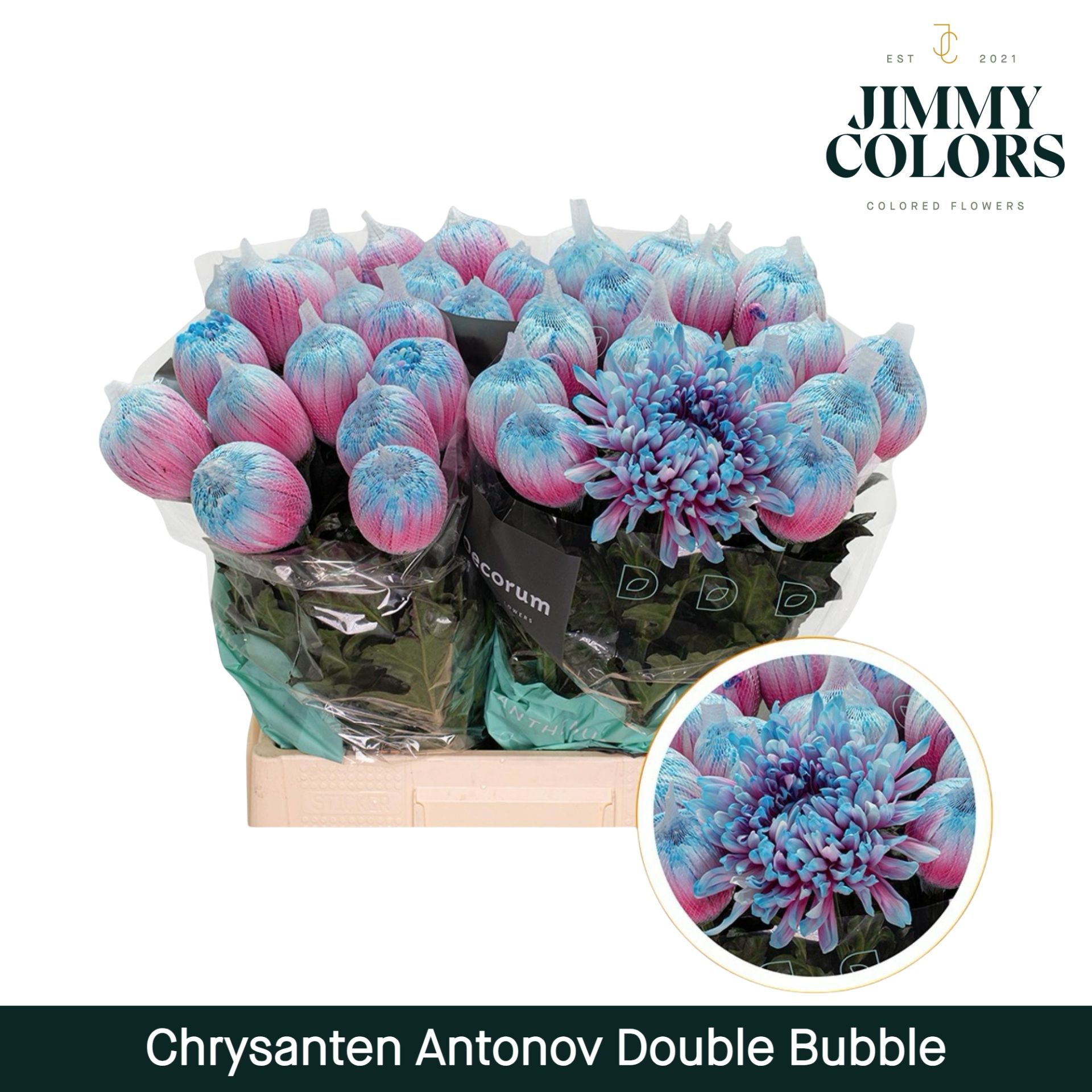 Chr G Antonov Double Bubble