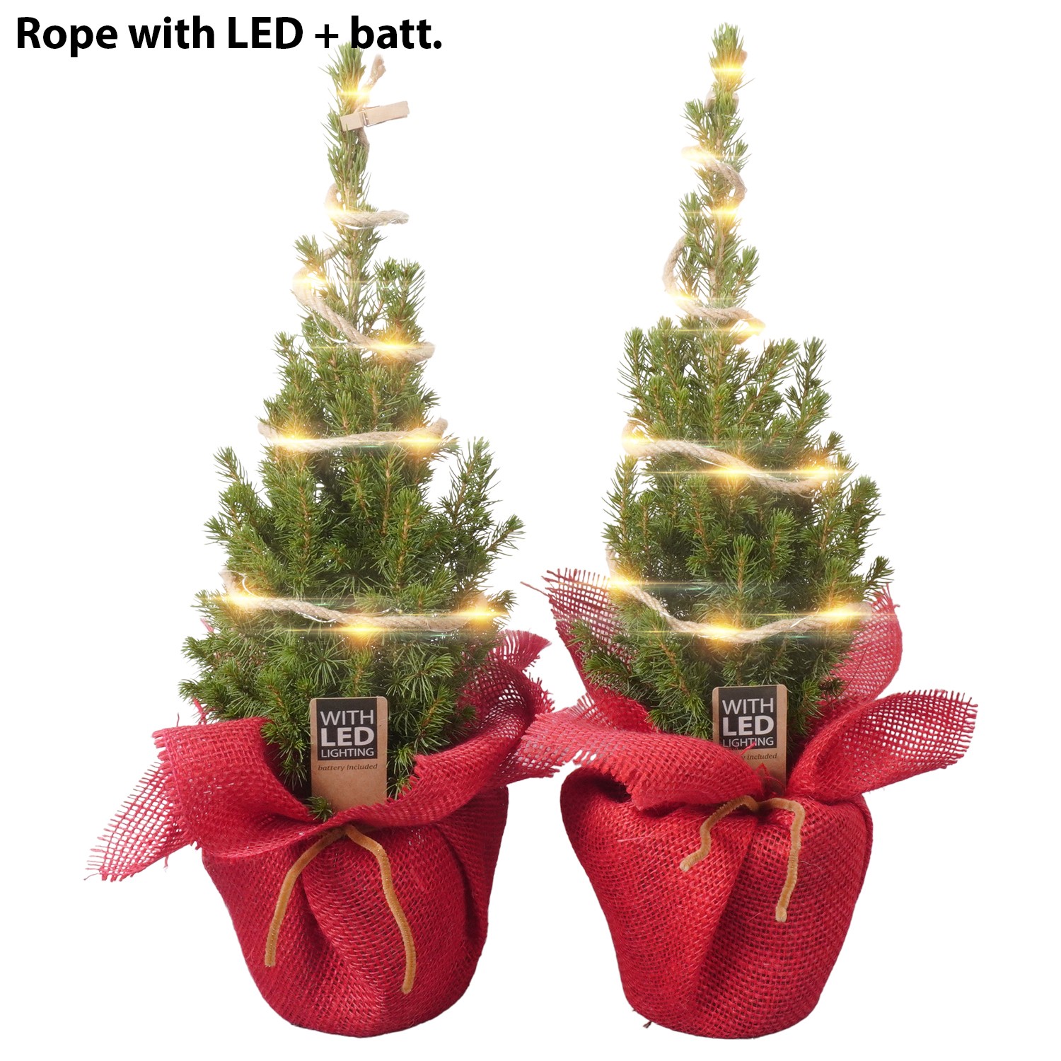 Picture of PTK24423 Picea Conica Perfecta in cloth LED P13 45cm