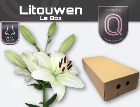 Li La Litouwen