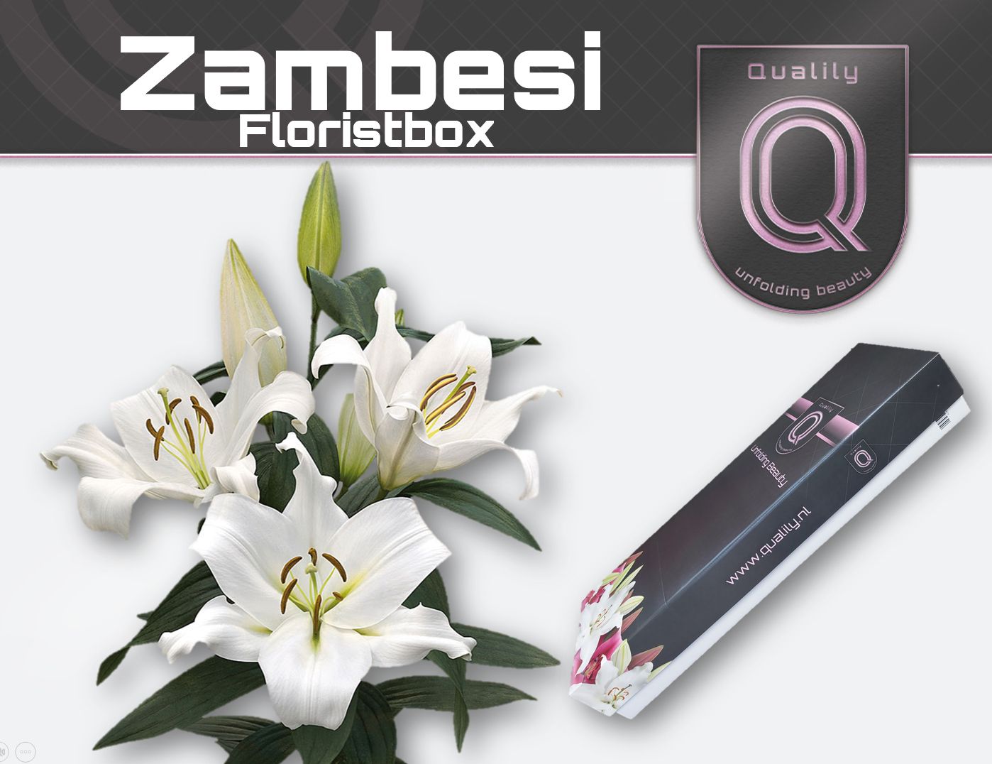 Li Ot Zambesi
