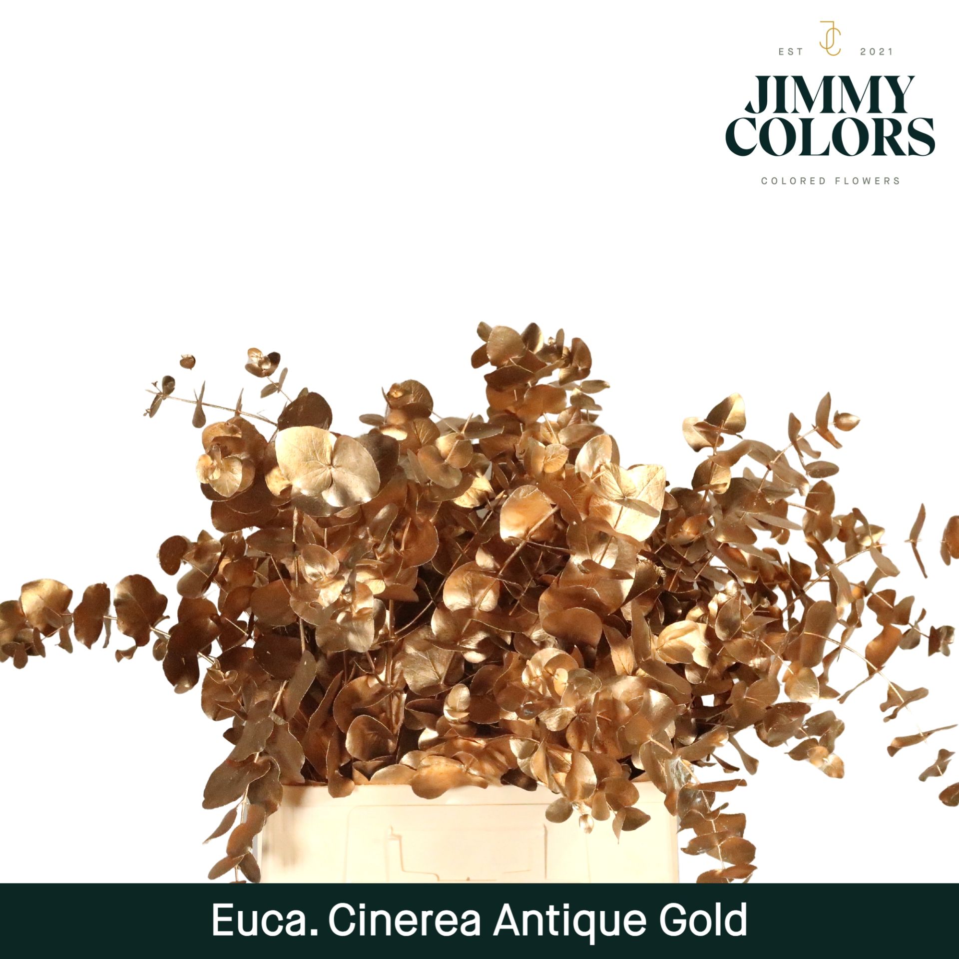 Cinerea Per Bos 200g Antique Gold