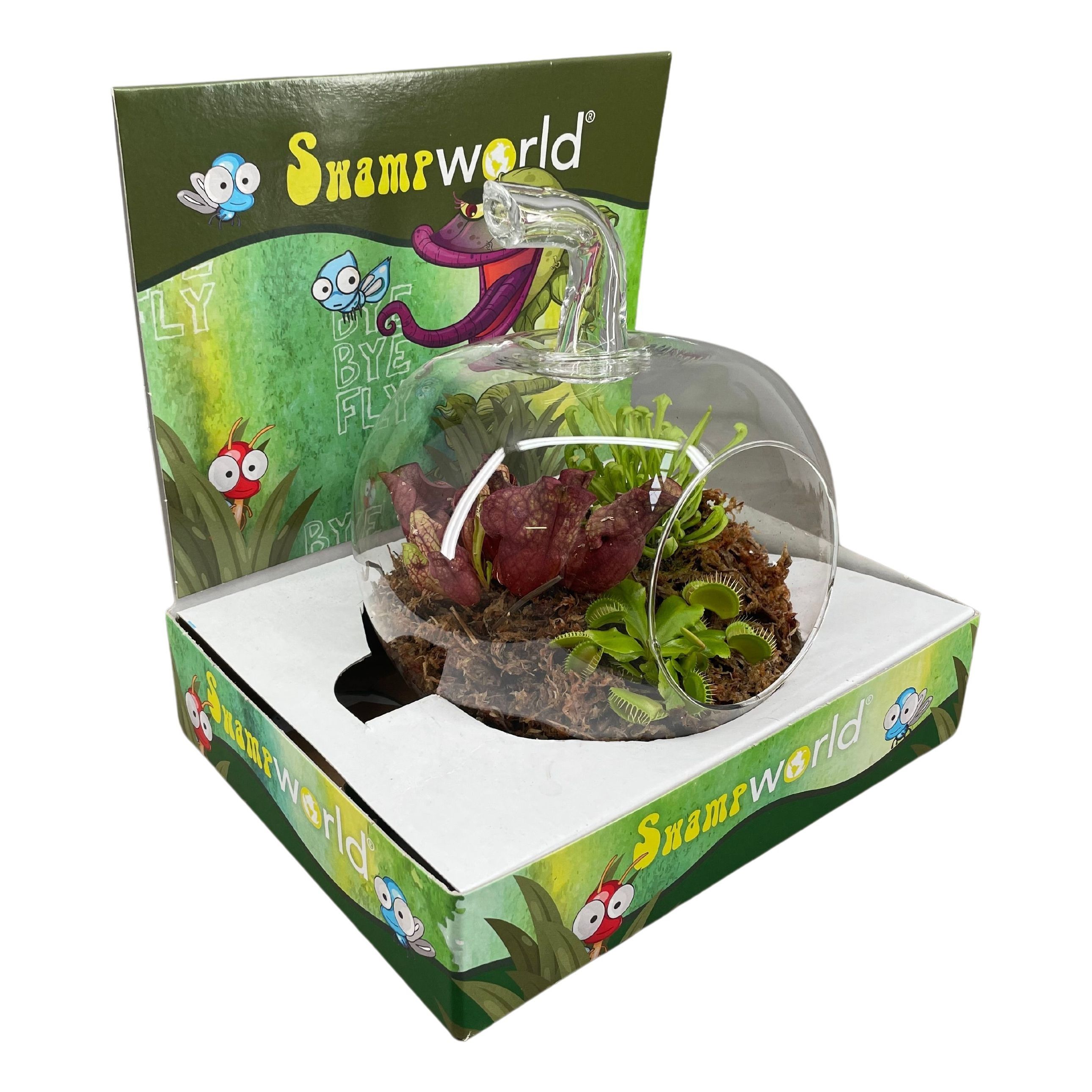 Picture of Carnivorous Bye Bye Fly terrarium in display P12 24CM (LOOSE)