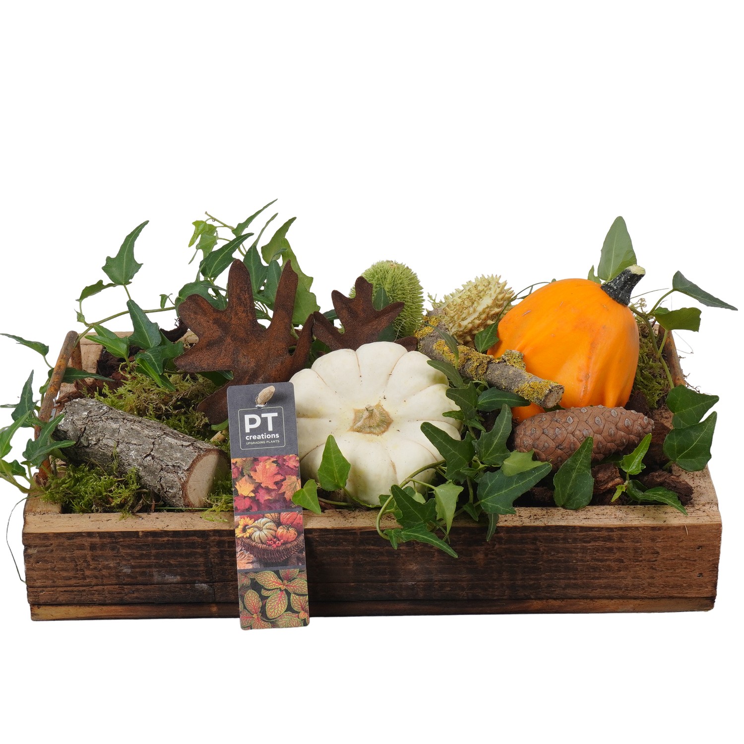 Picture of PTKBH5315 Arrangement Autumn Fruits on wooden plate P31 18cm