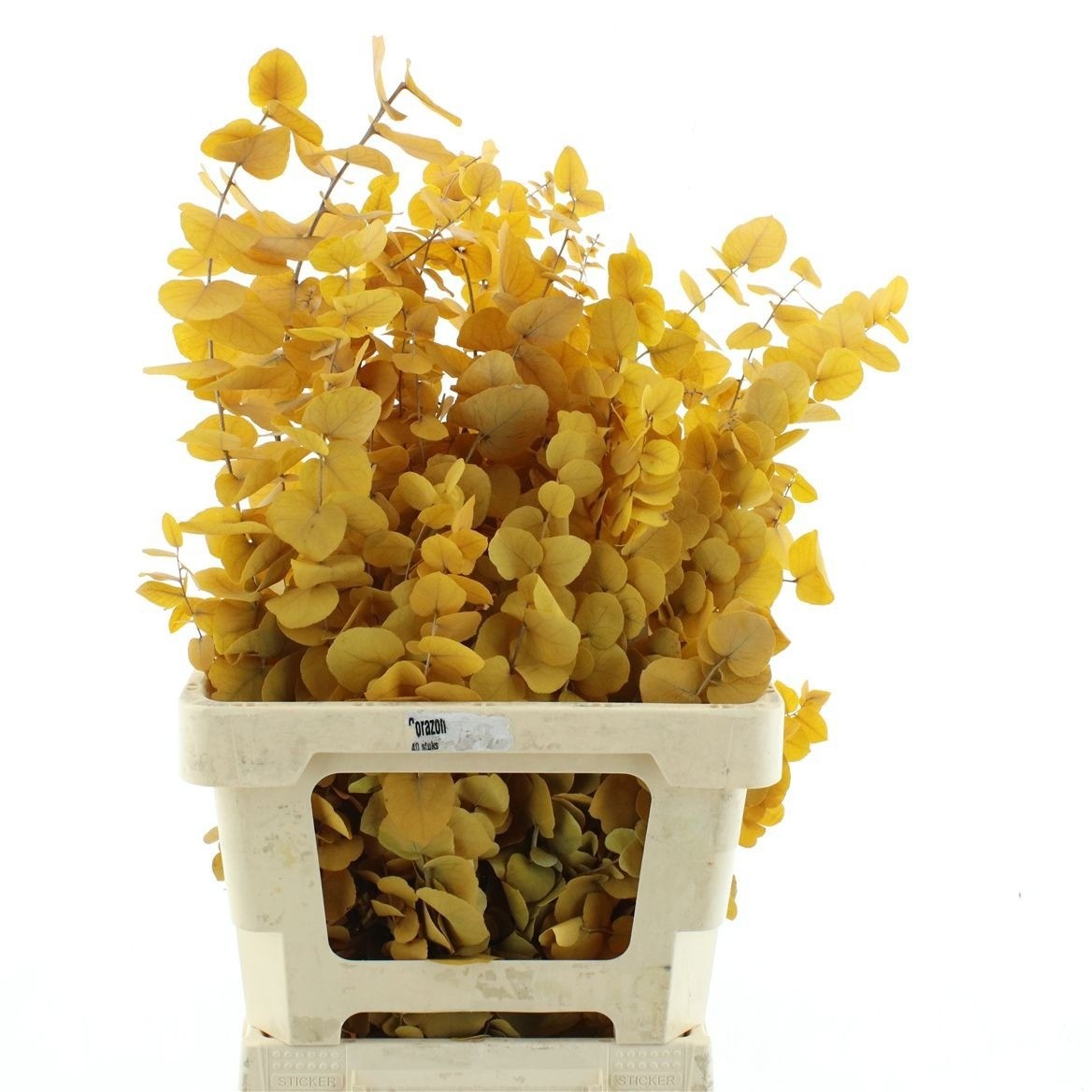 Decoration Greens Painted 70cm 200gram