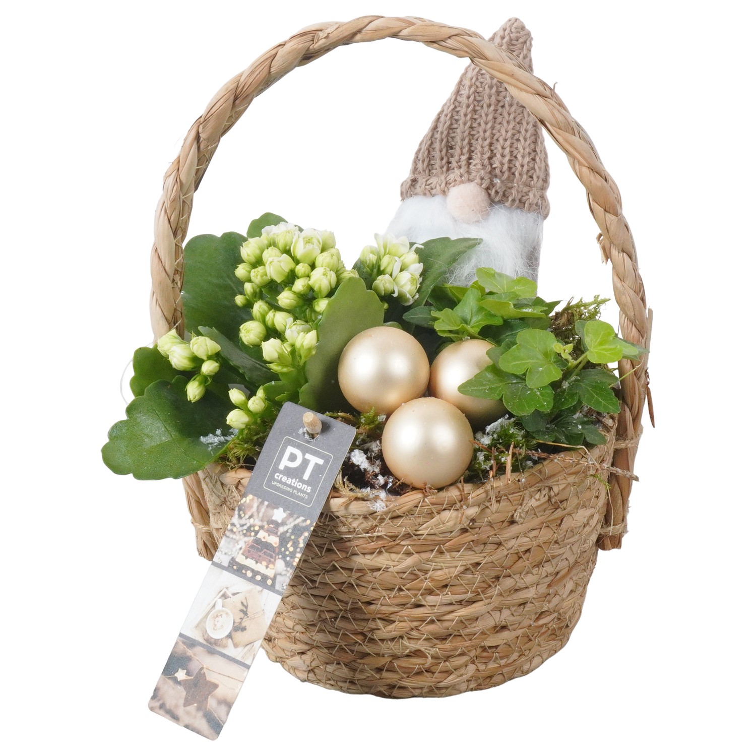 Picture of PTKB9330 Arrangement X-Mas in grass basket P15 23cm