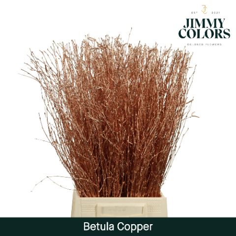 Betula L60 Mtlc. Copper