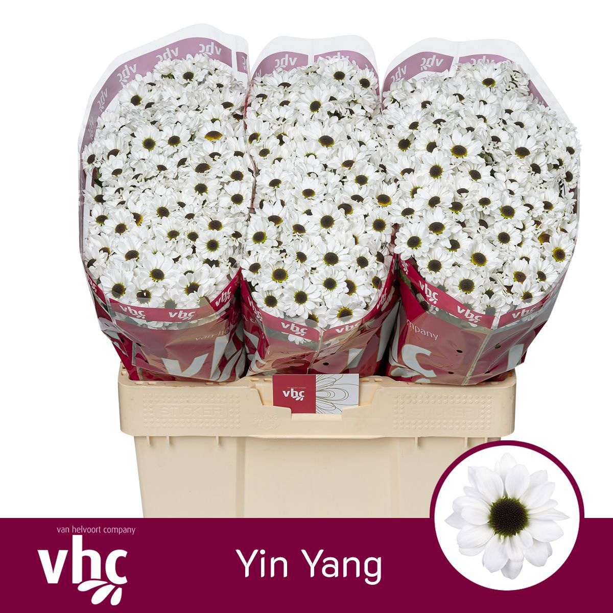 Chrys Santini Yin Yang 55cm 125Ø