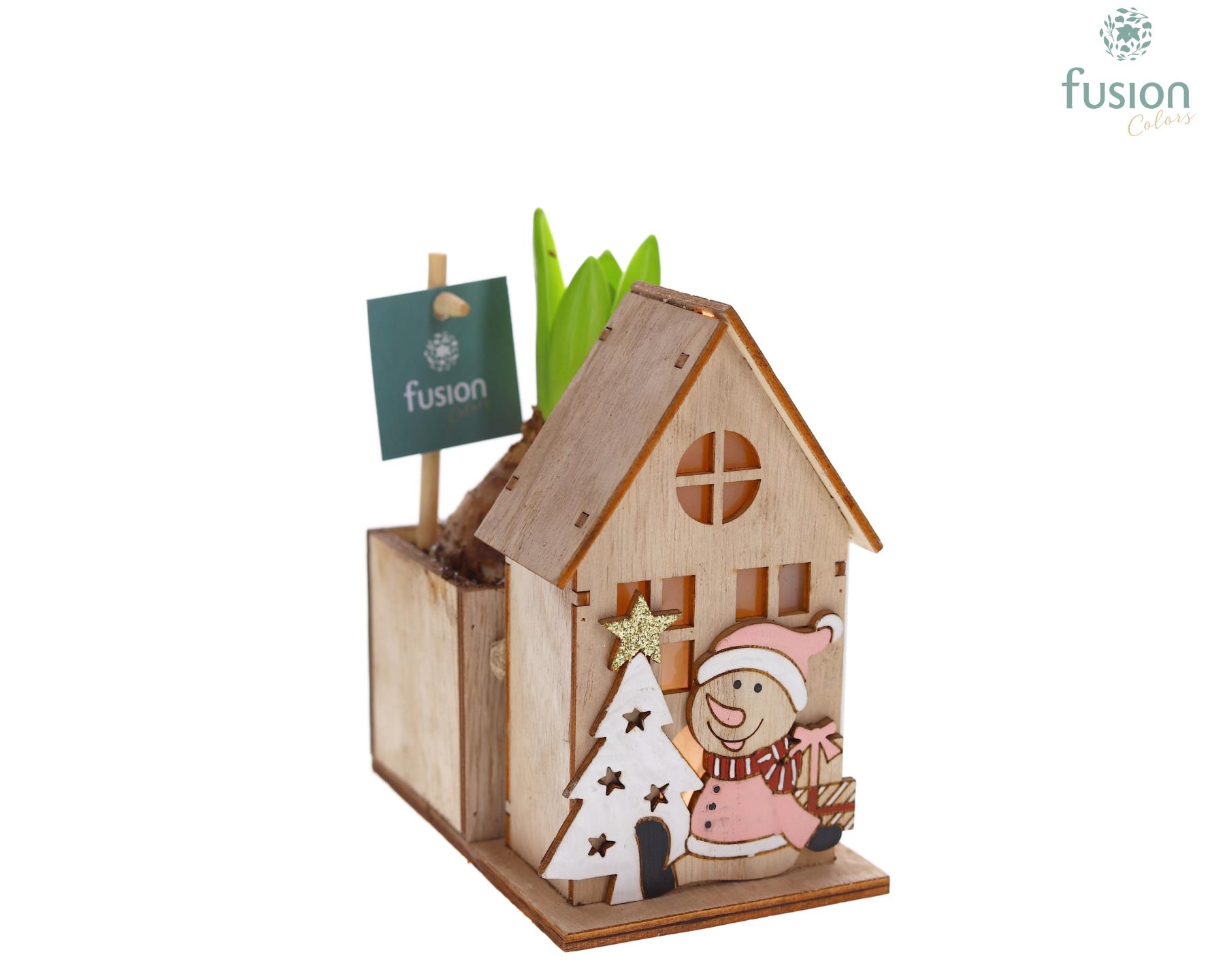 Picture of X-Mas arrangement Wooden House planter Hyacinthus FC-22.1501FDH P8 20CM