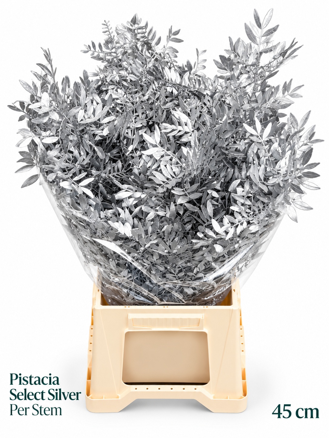 Pista Klb H% 45cm