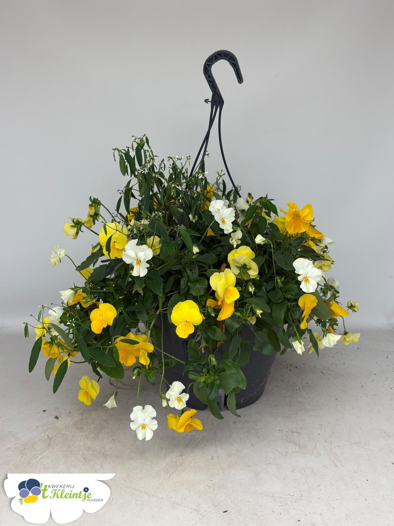 Hanging Baskets 27P 40H