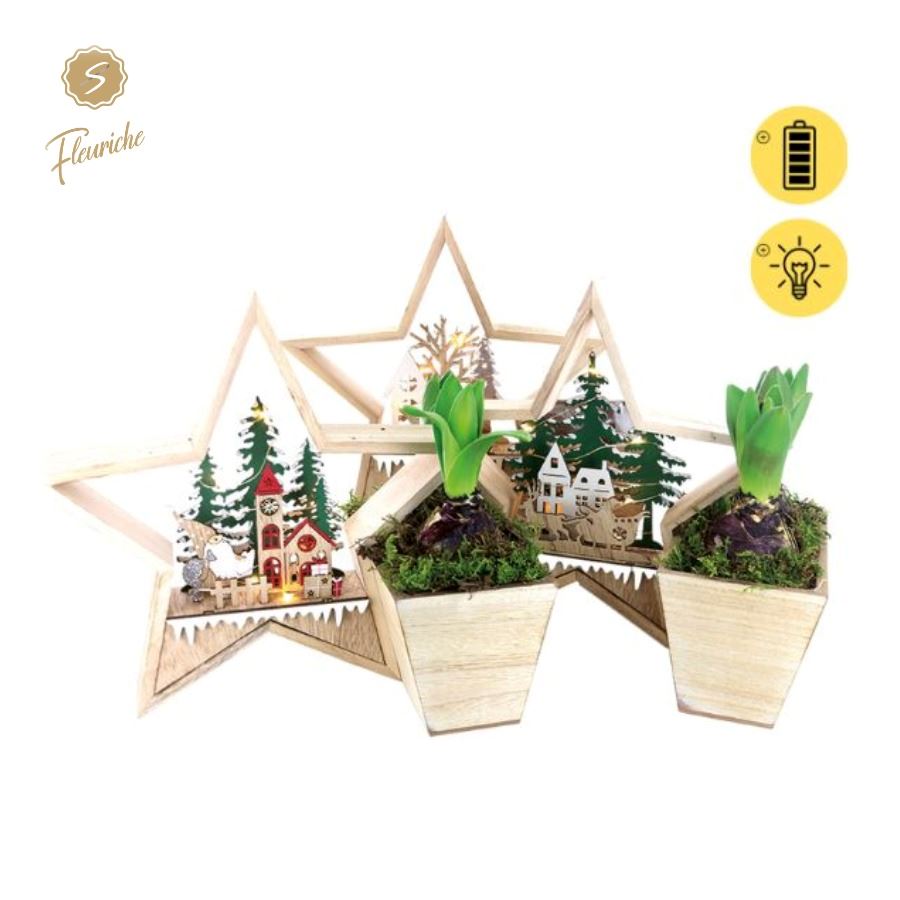 Picture of (2906) Hyacint Christmas Star 2PP Moss P26 17cm