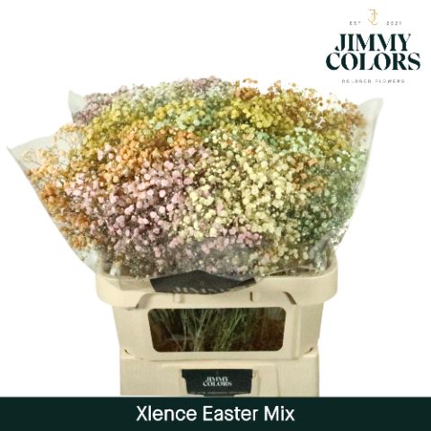 Gyps Xlence L80 Easter Mix