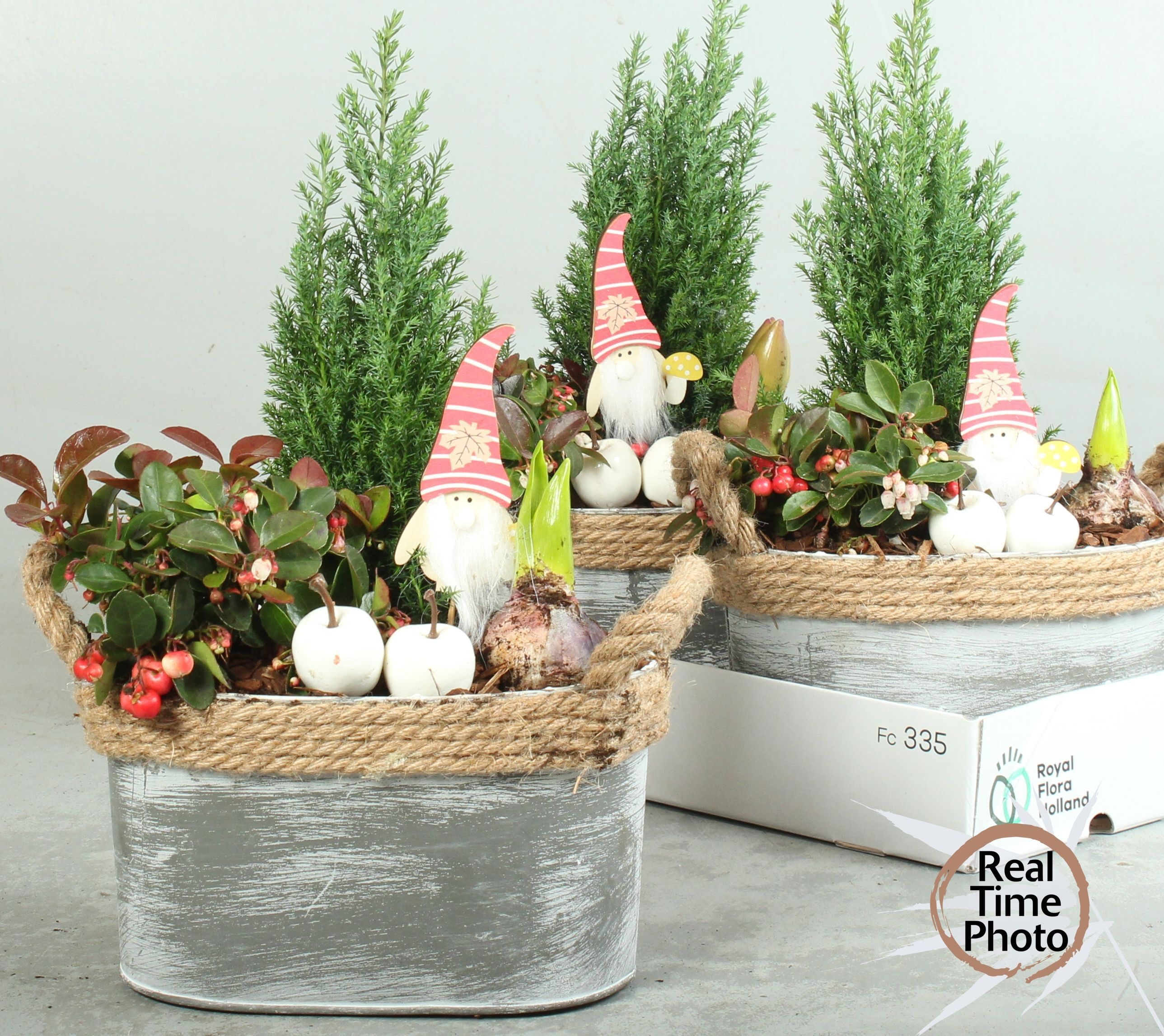 Arr Tuinplanten 23P 35cm
