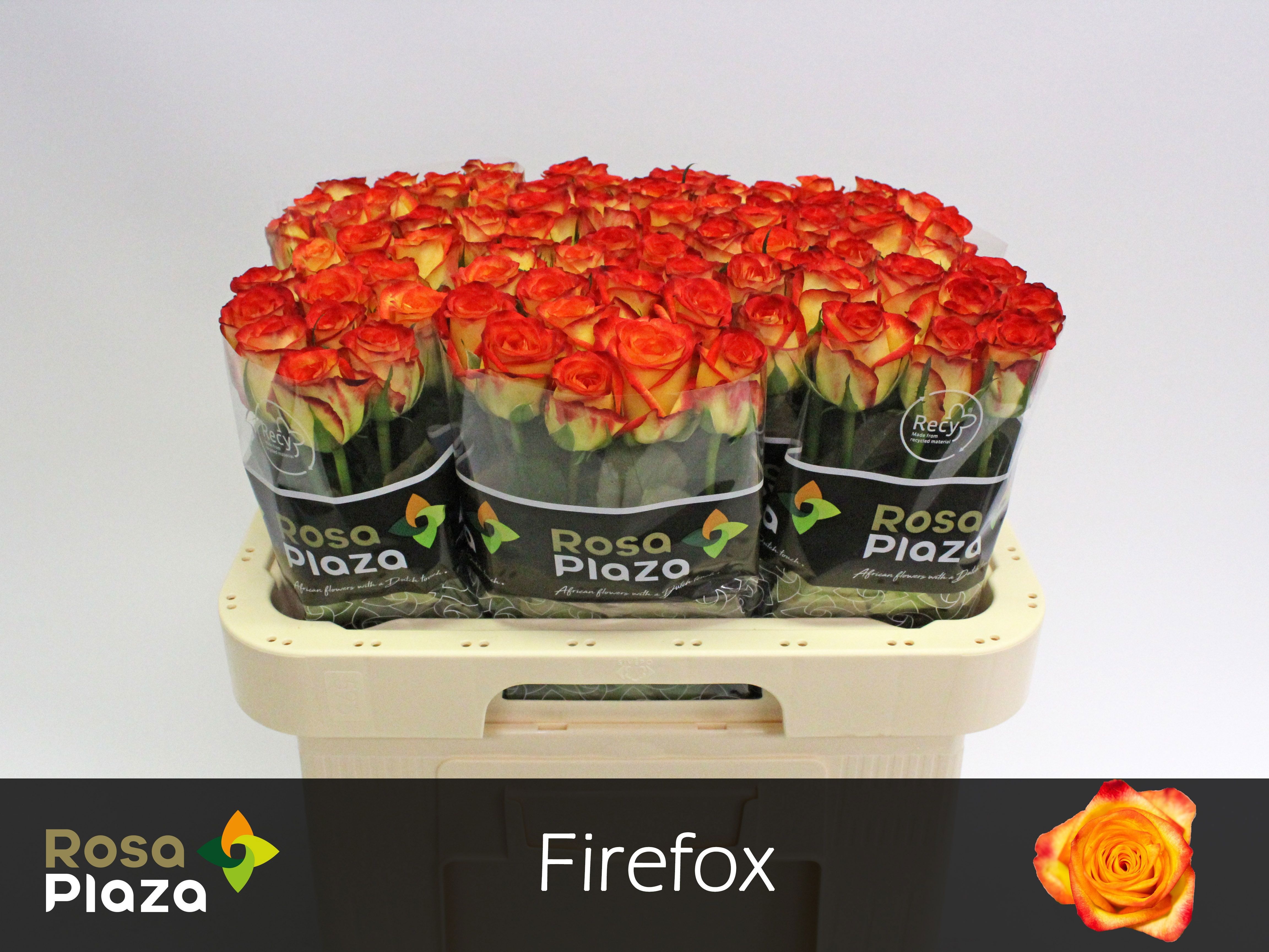 R Gr Firefox