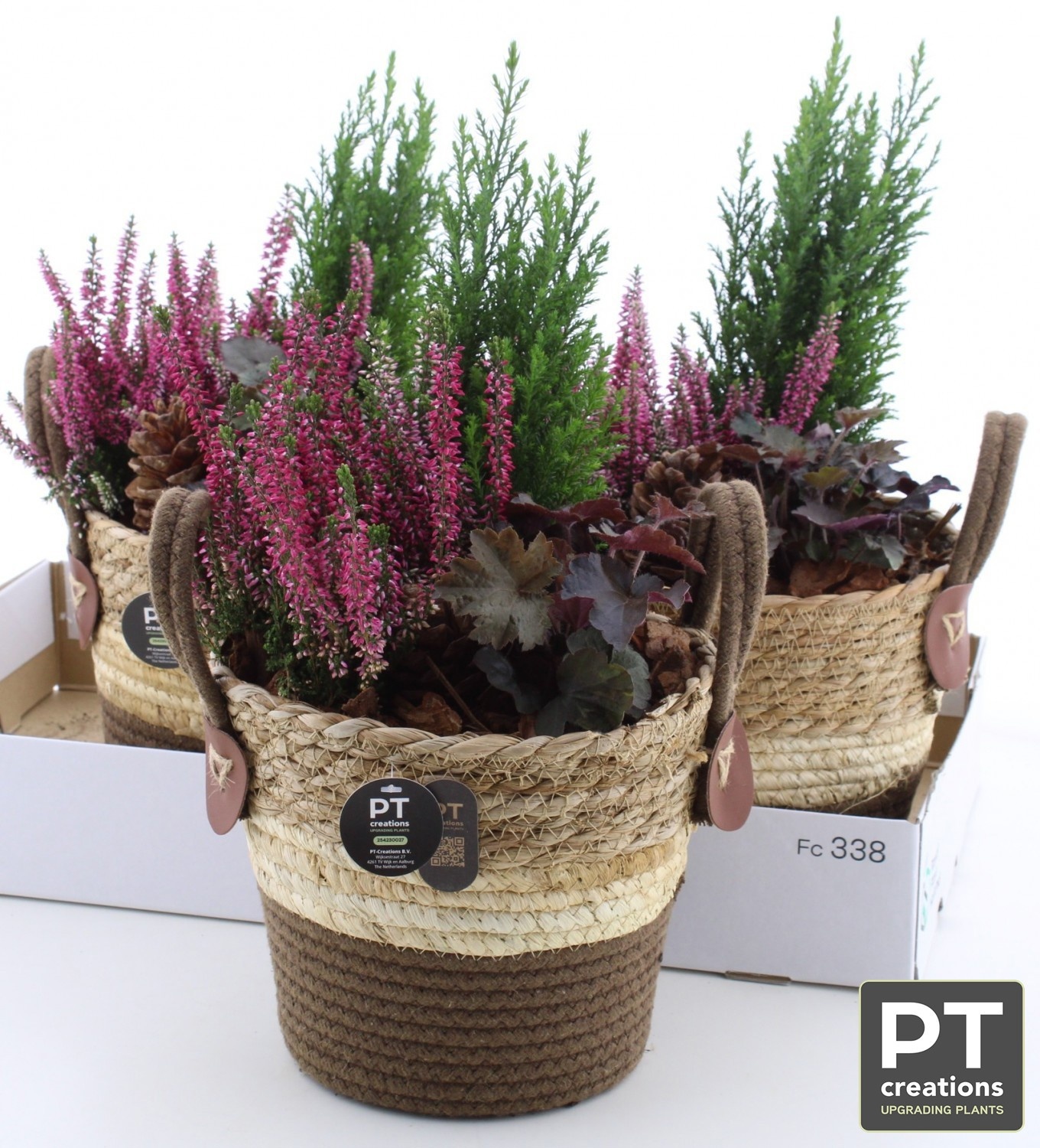 Arr Tuinplanten 20P 45cm 22bloei