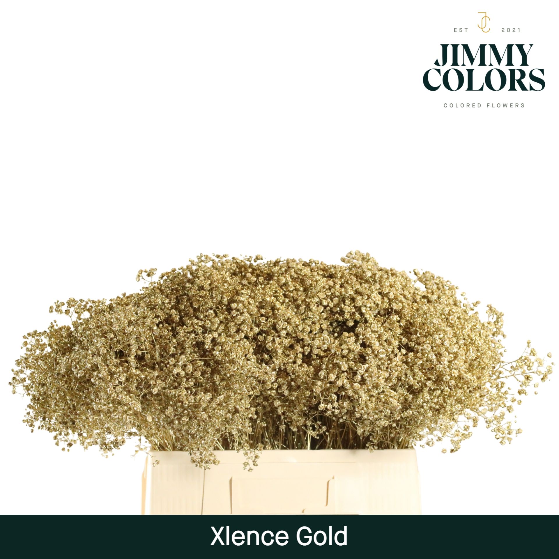 Gyps Xlence L60 Mtlc. Gold