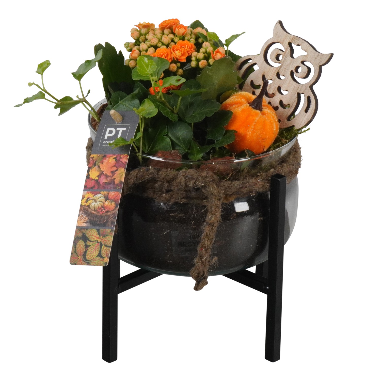 Picture of PTHG1798 Arrangement Autumn in glass bowl on metal rack P16 25CM