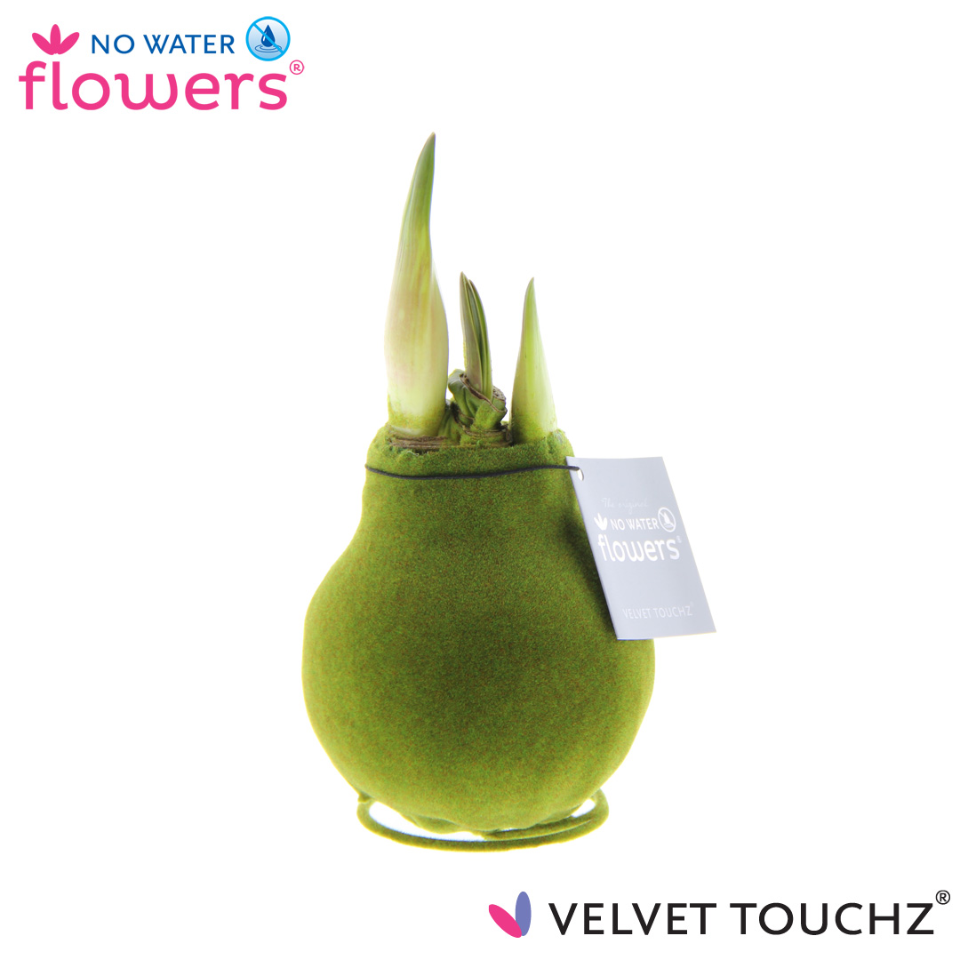 Picture of No Water Flowers Velvet Touchz® Moss Green 15CM