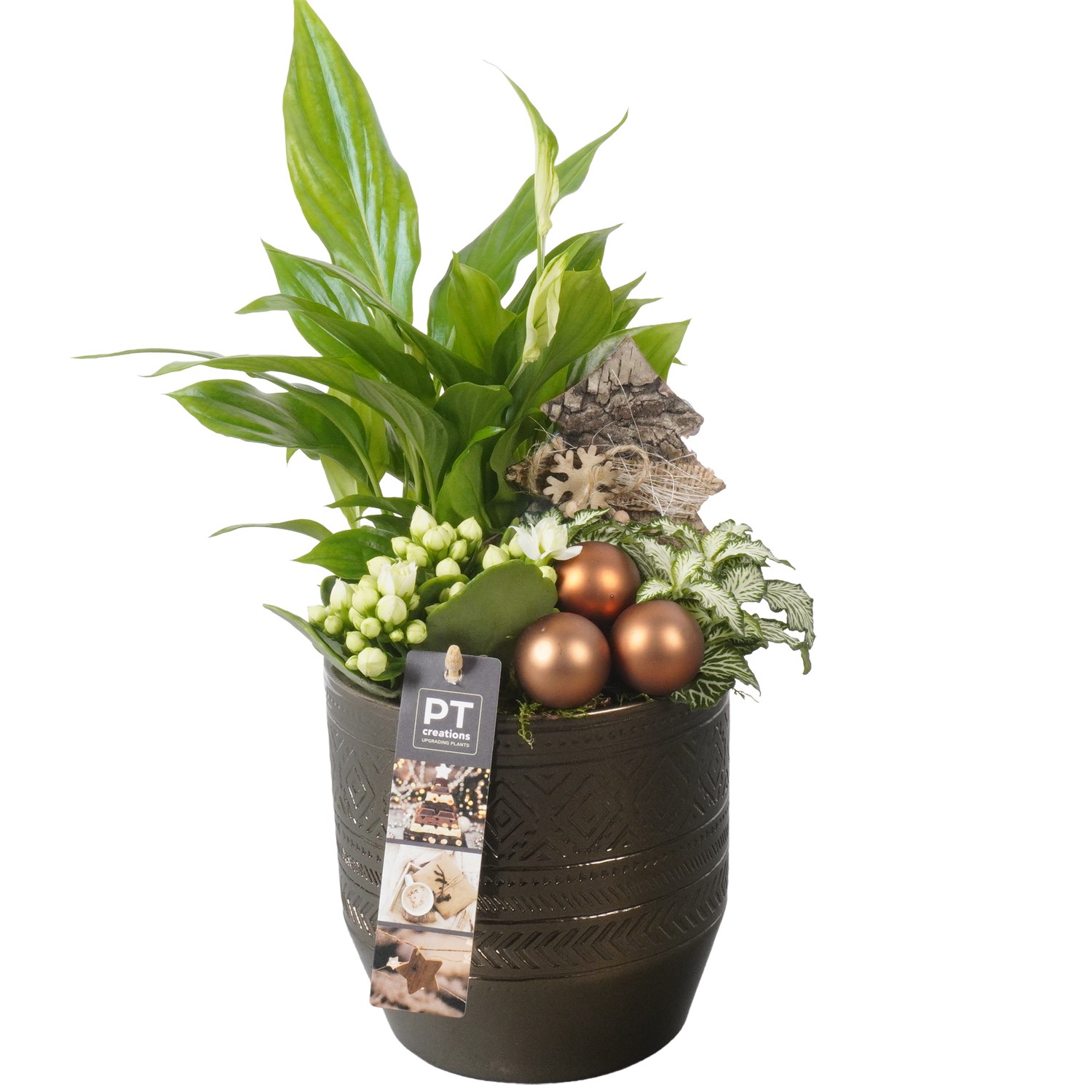 Picture of PTKB9353 Arrangement X-Mas in ceramic pot P14 33CM