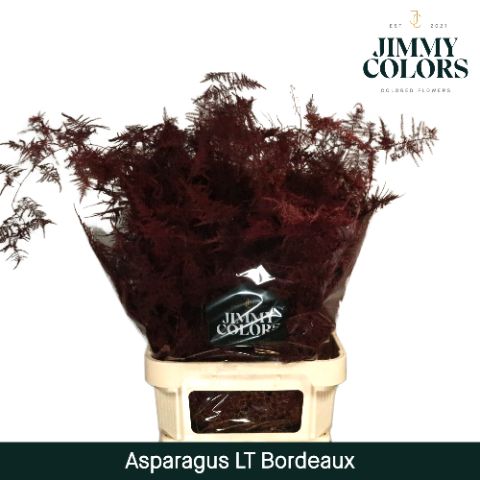 Aspa Lang Getopt Bordeaux