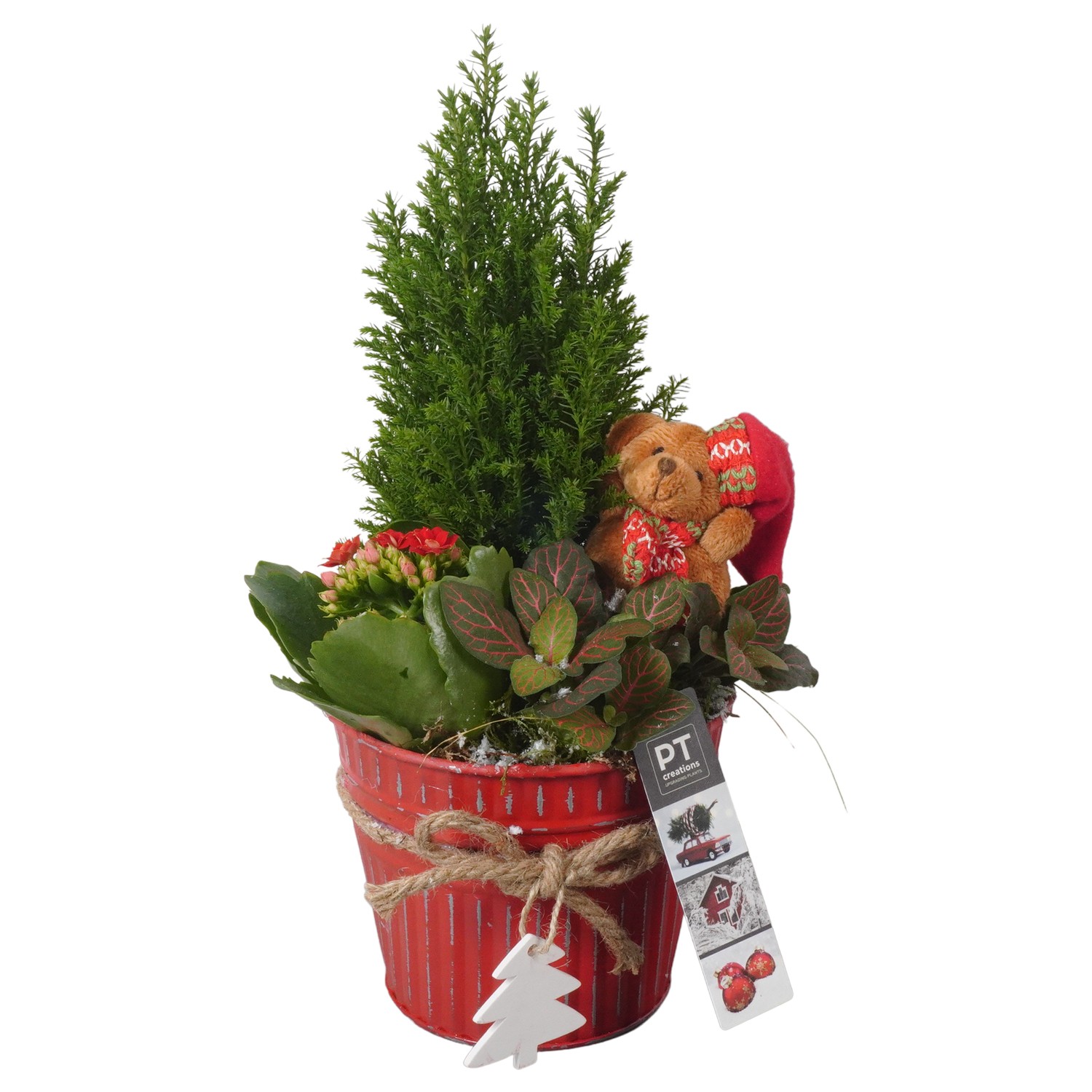 Picture of PTKB9433 Arrangement X-Mas in zinc pot P14 34CM