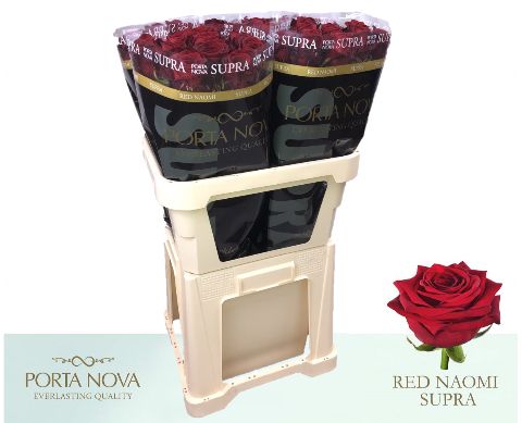 R Gr Red Naomi!