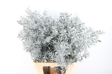 Dried/preserved Flowers Misc 60cm 18gram