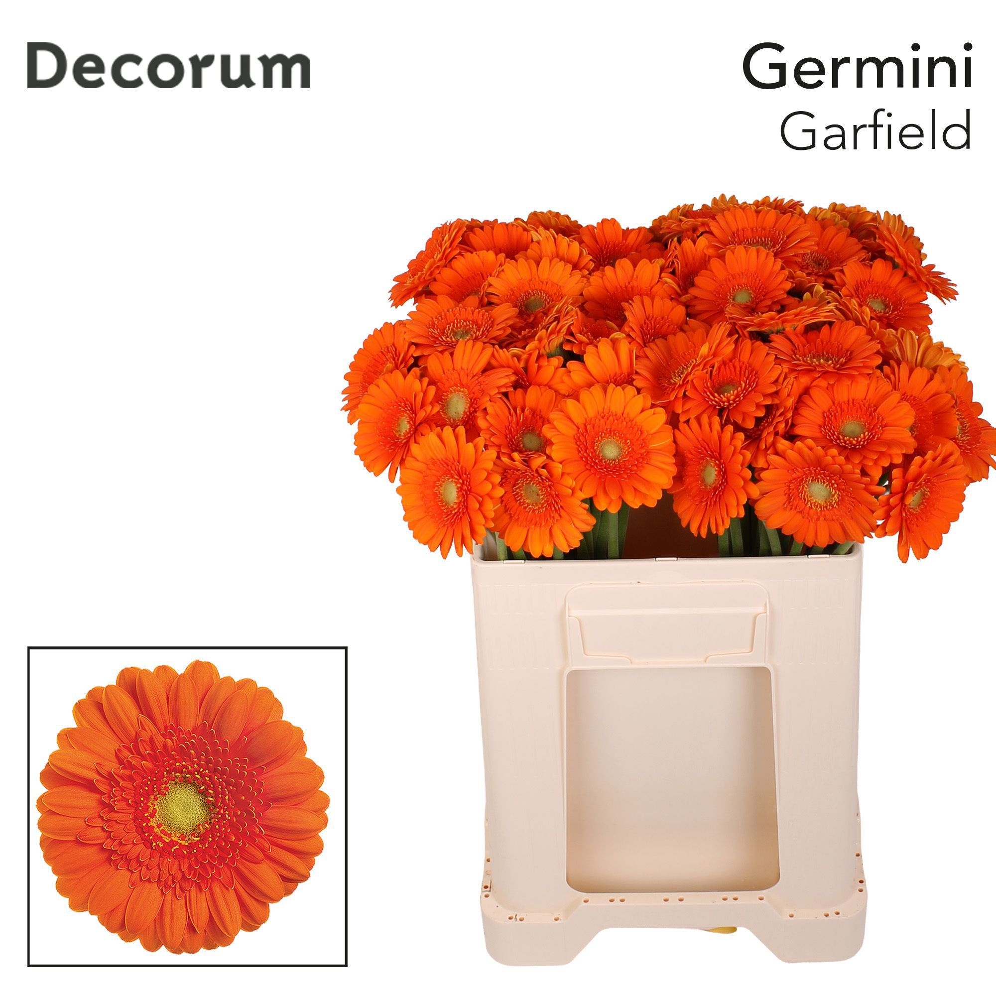 Ge Mi Garfield 50L.cm