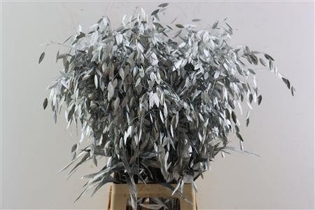 Dried/preserved Flowers Misc 70cm