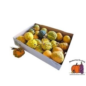 Cucurbita Warts Mix