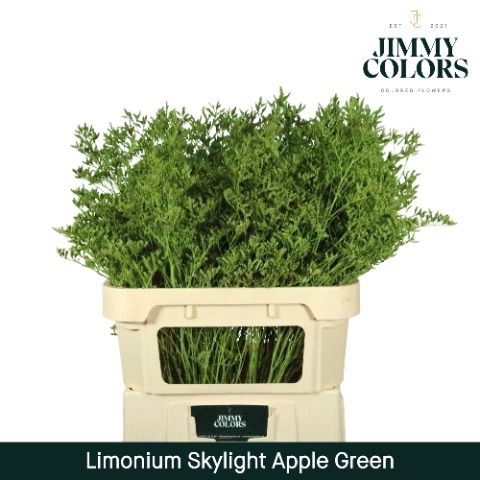 Lim Skylight L70 Apple Green
