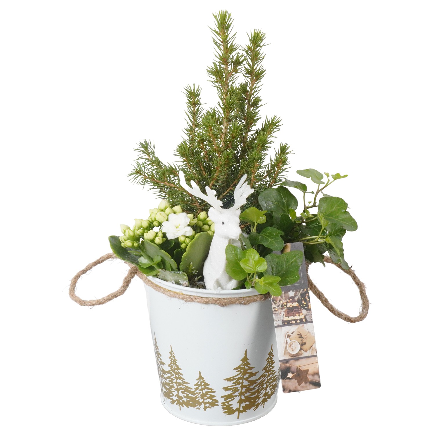 Picture of PTKB9443 Arrangement X-Mas in zinc pot P13 32cm