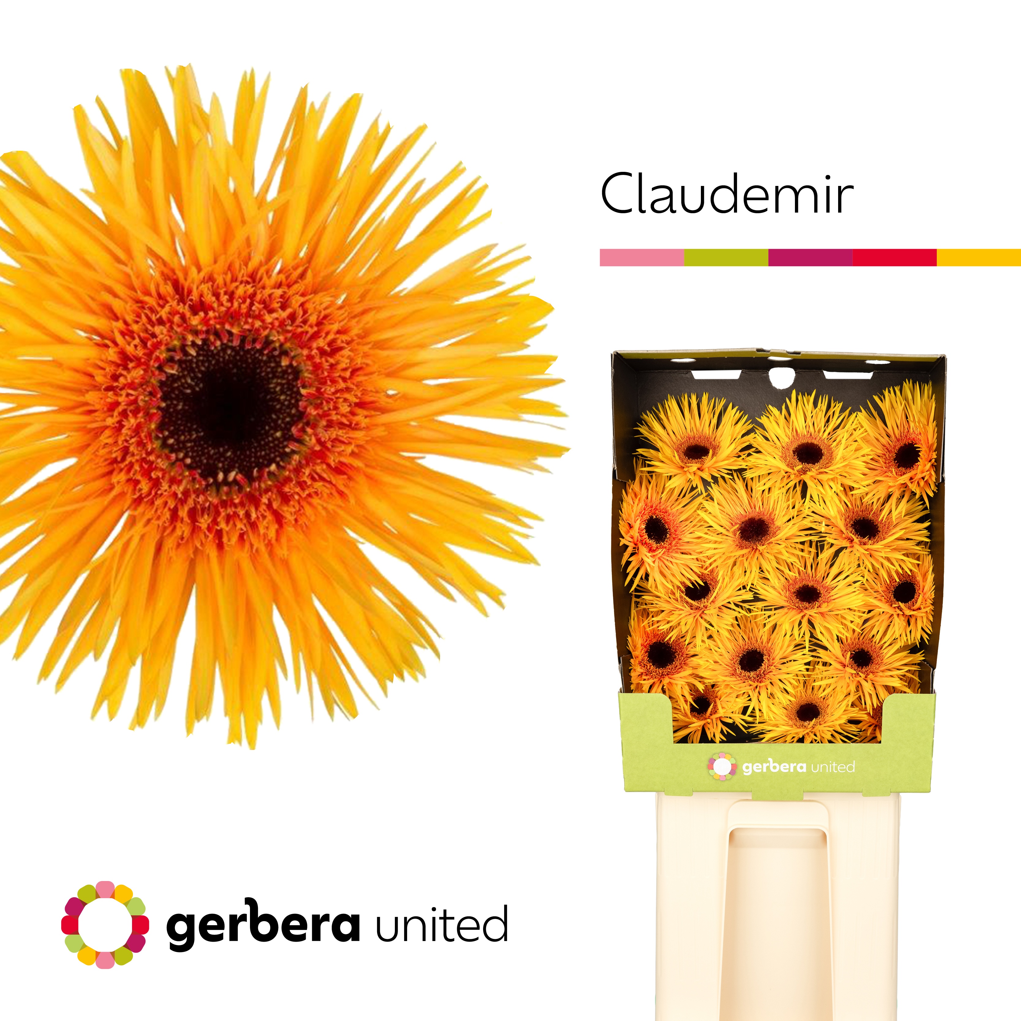 Ge Gs Claudemir