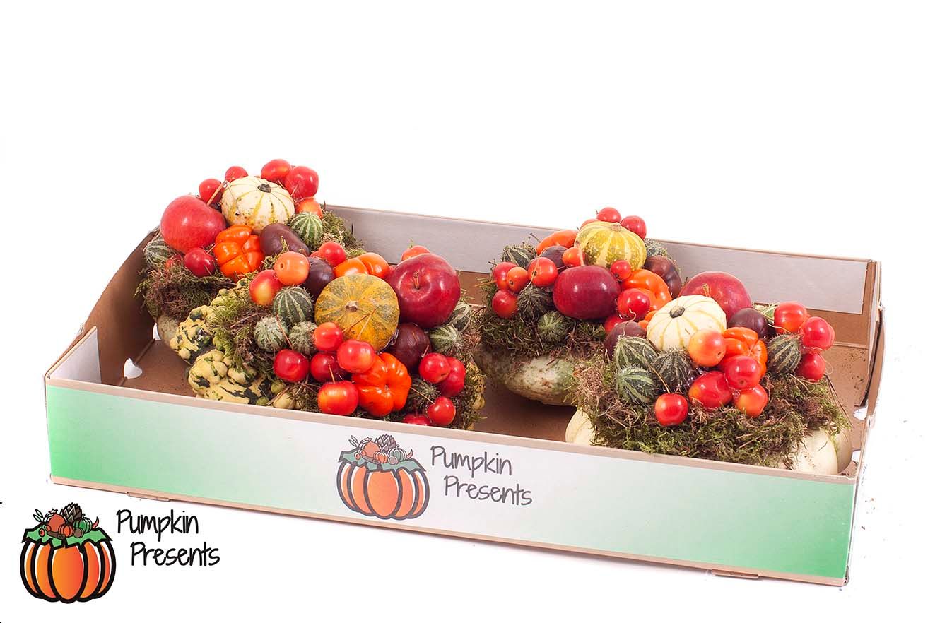 Picture of Cucurbita (pompoen) arrangement (Medium) mix