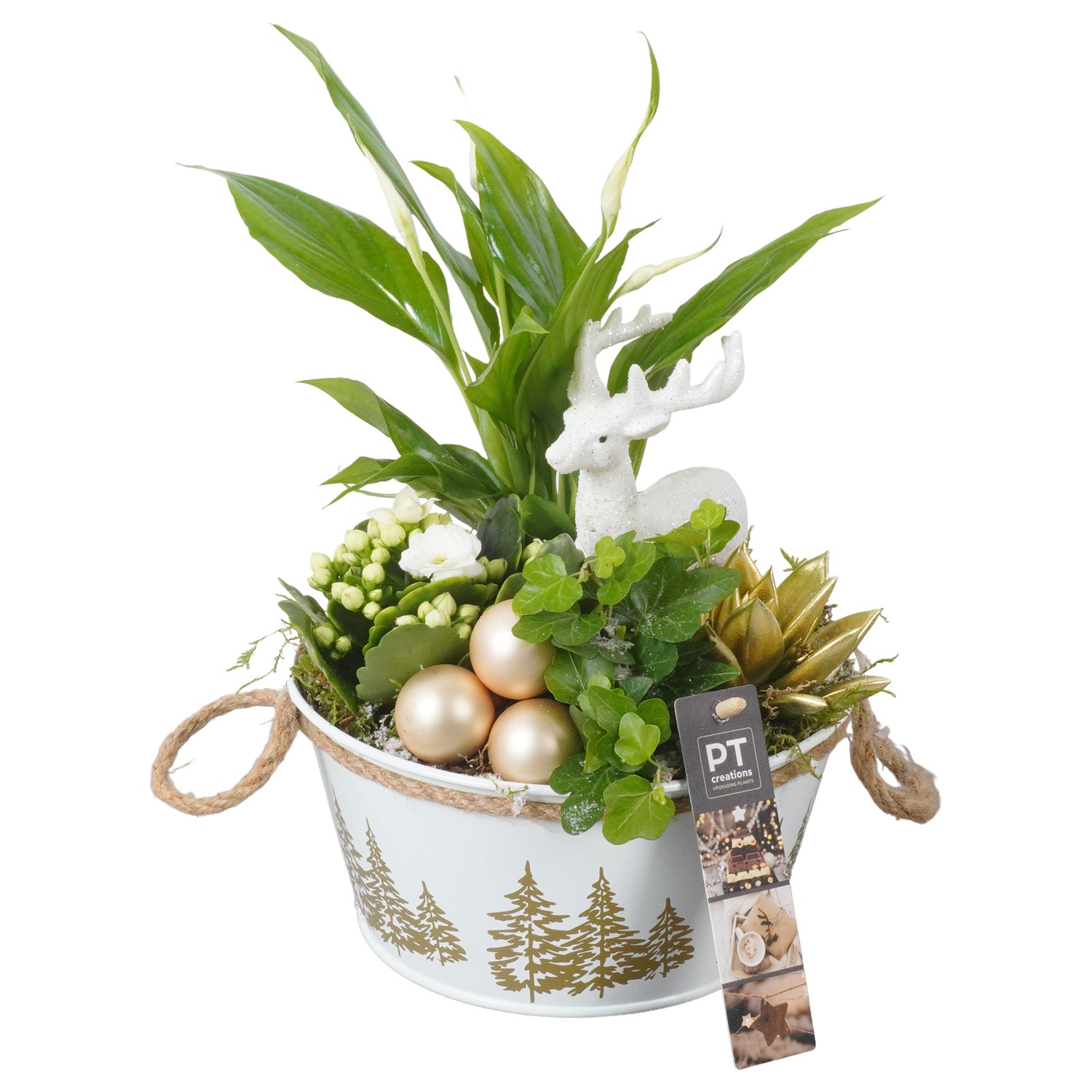 Picture of PTKB9445 Arrangement X-Mas in zinc pot P18 30CM