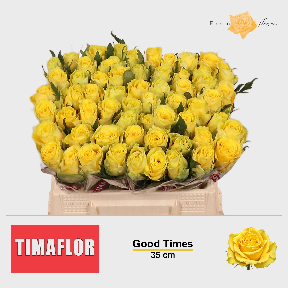 Rosa Good Times 35cm