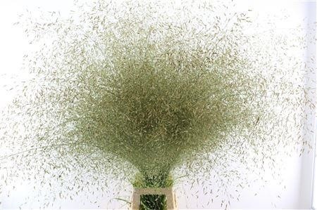 Various Greenery 130cm