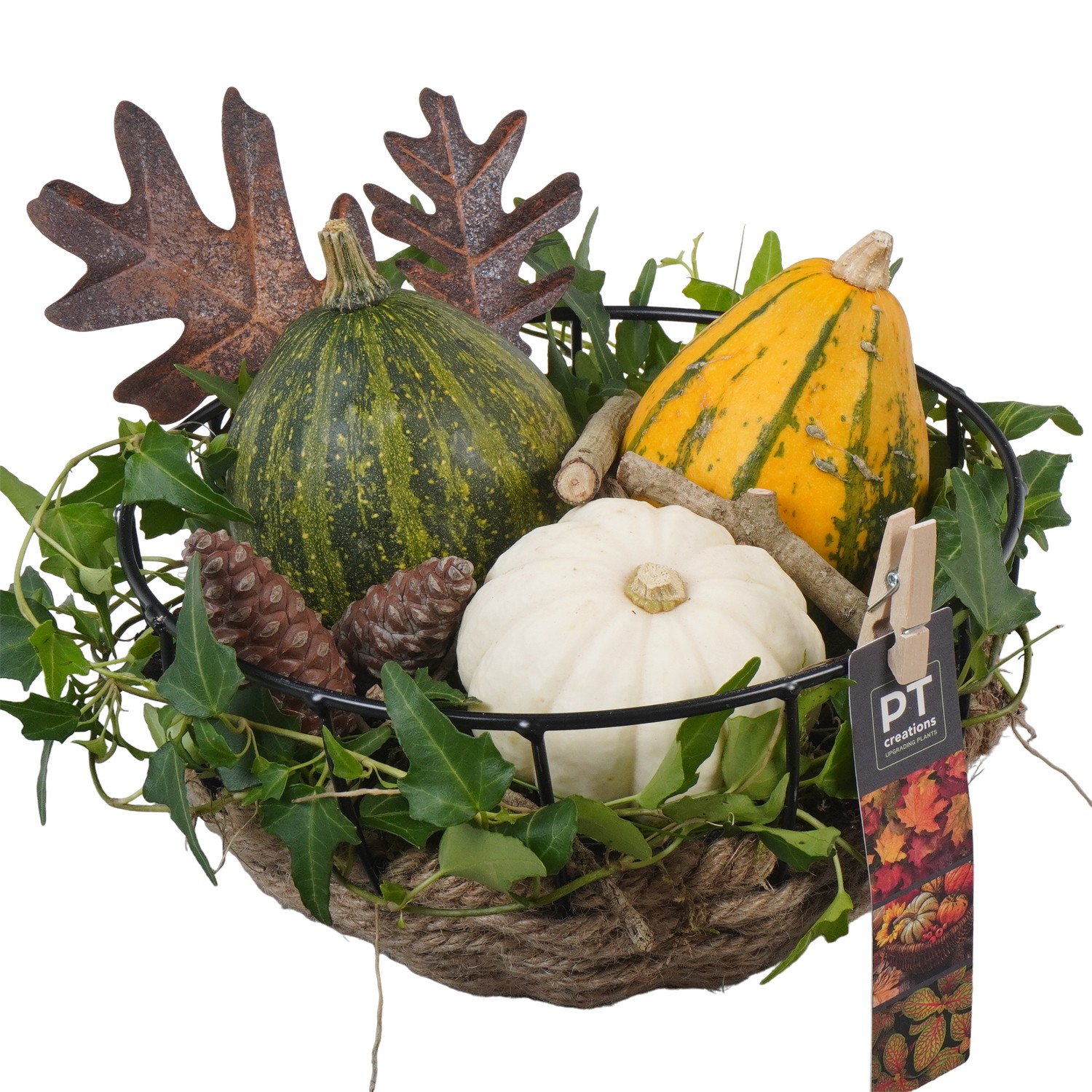 Picture of PTKBH5326 Arrangement Autumn Fruits in metal rope basket P20 22CM