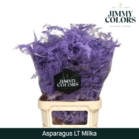 Aspa Lang Getopt Milka