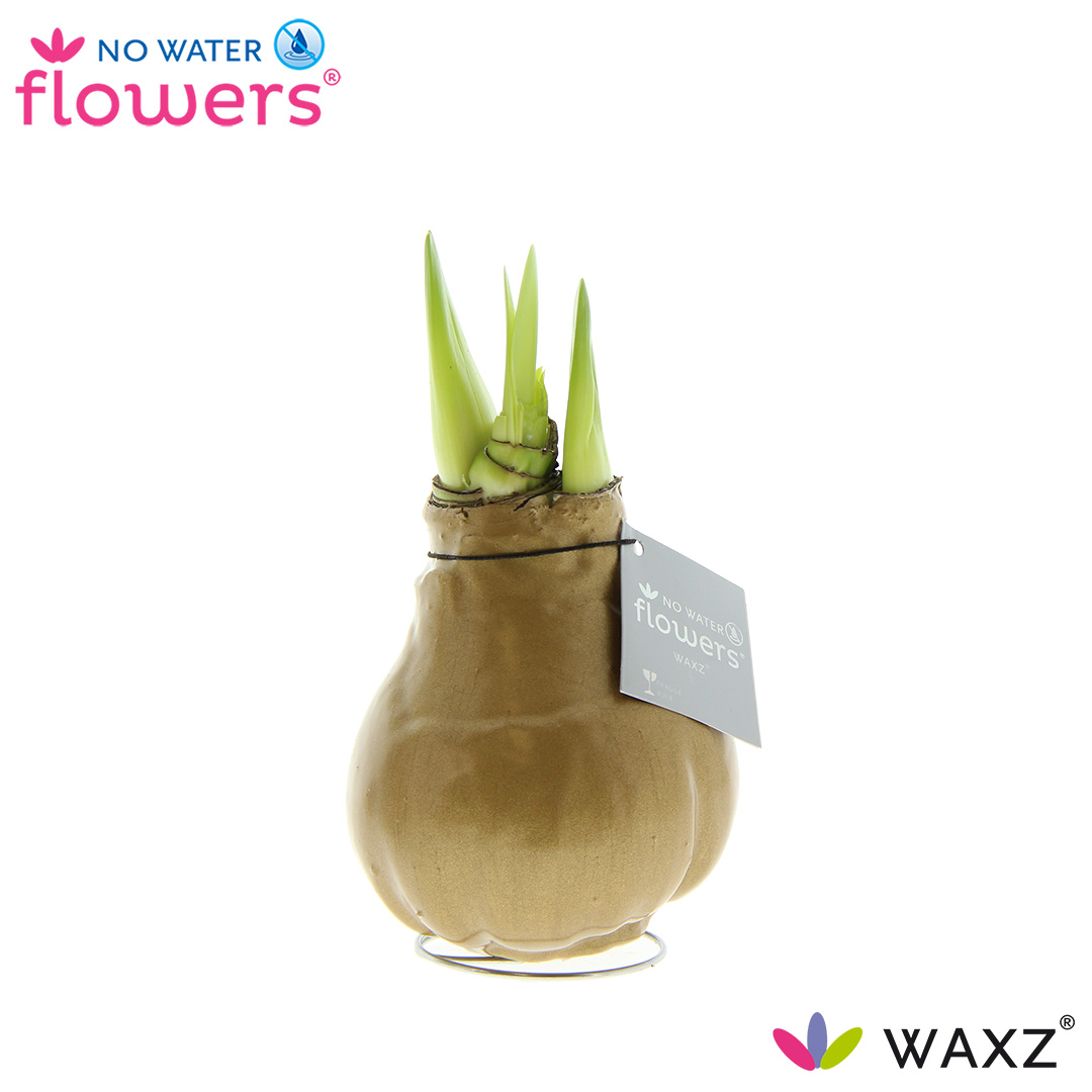 Picture of No Water Flowers Waxz® Metallic Gold 15CM