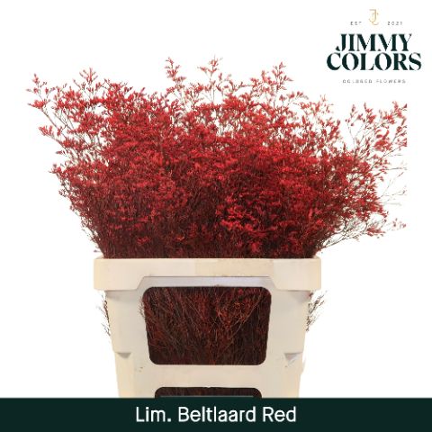 Lim Bel L70 Red