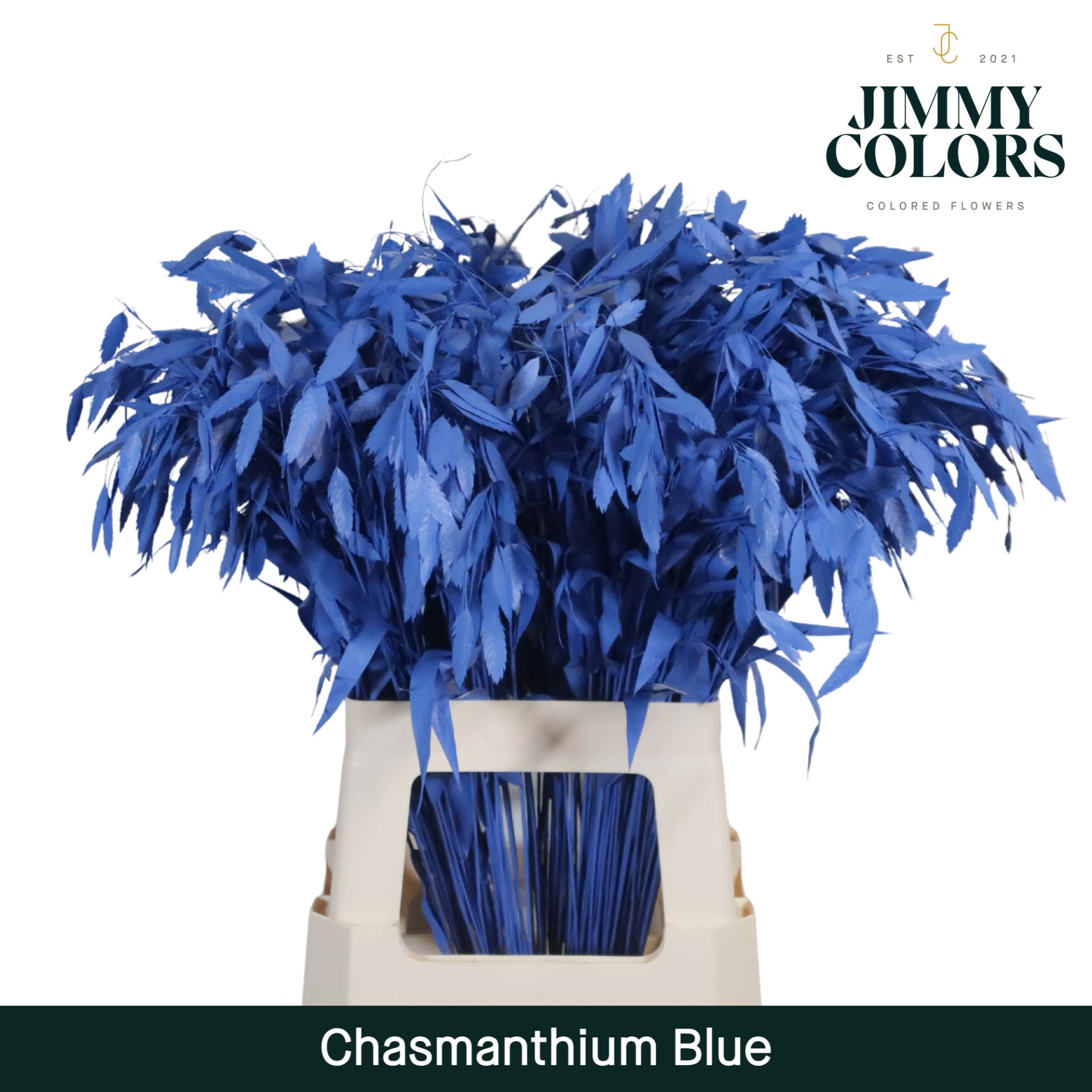 Chasmanthium L70 Blue