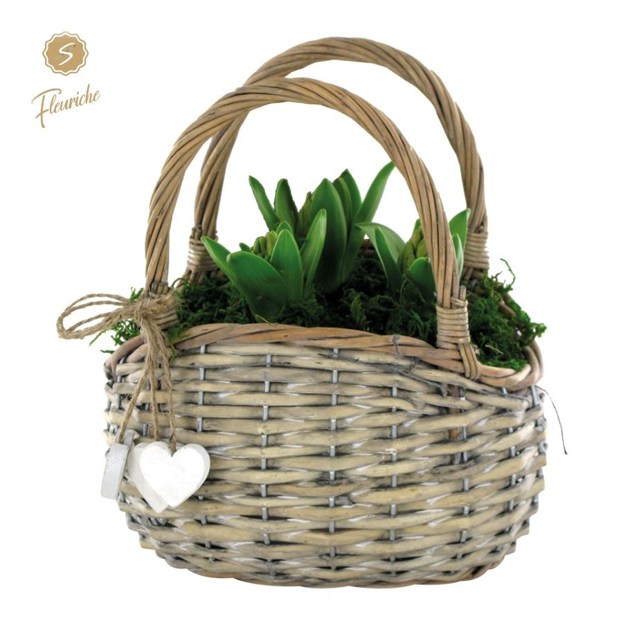 Picture of (3701) Hyacint Basket with Handle 3PP Moss P21 18cm