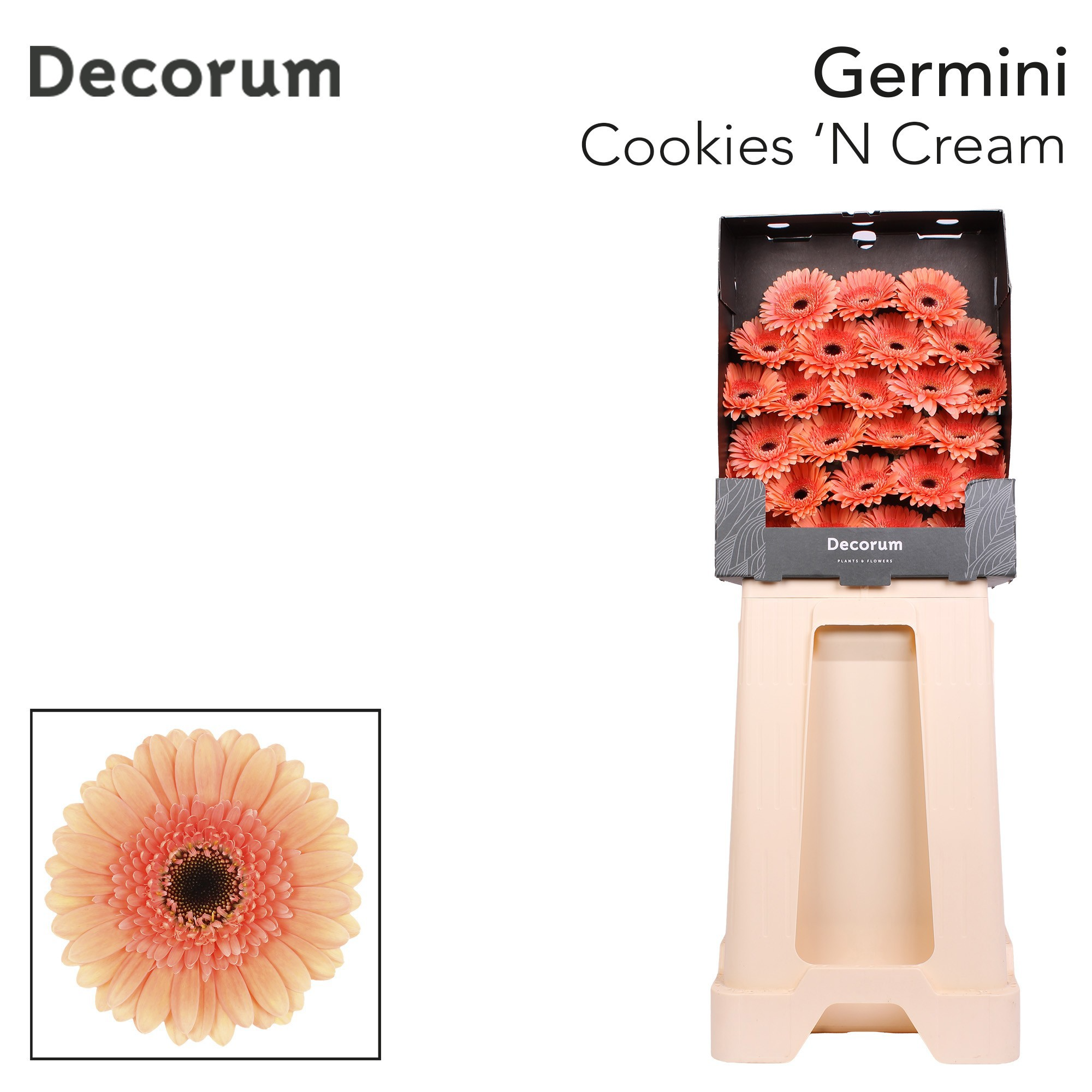 Ge Mi Cookie N Cream