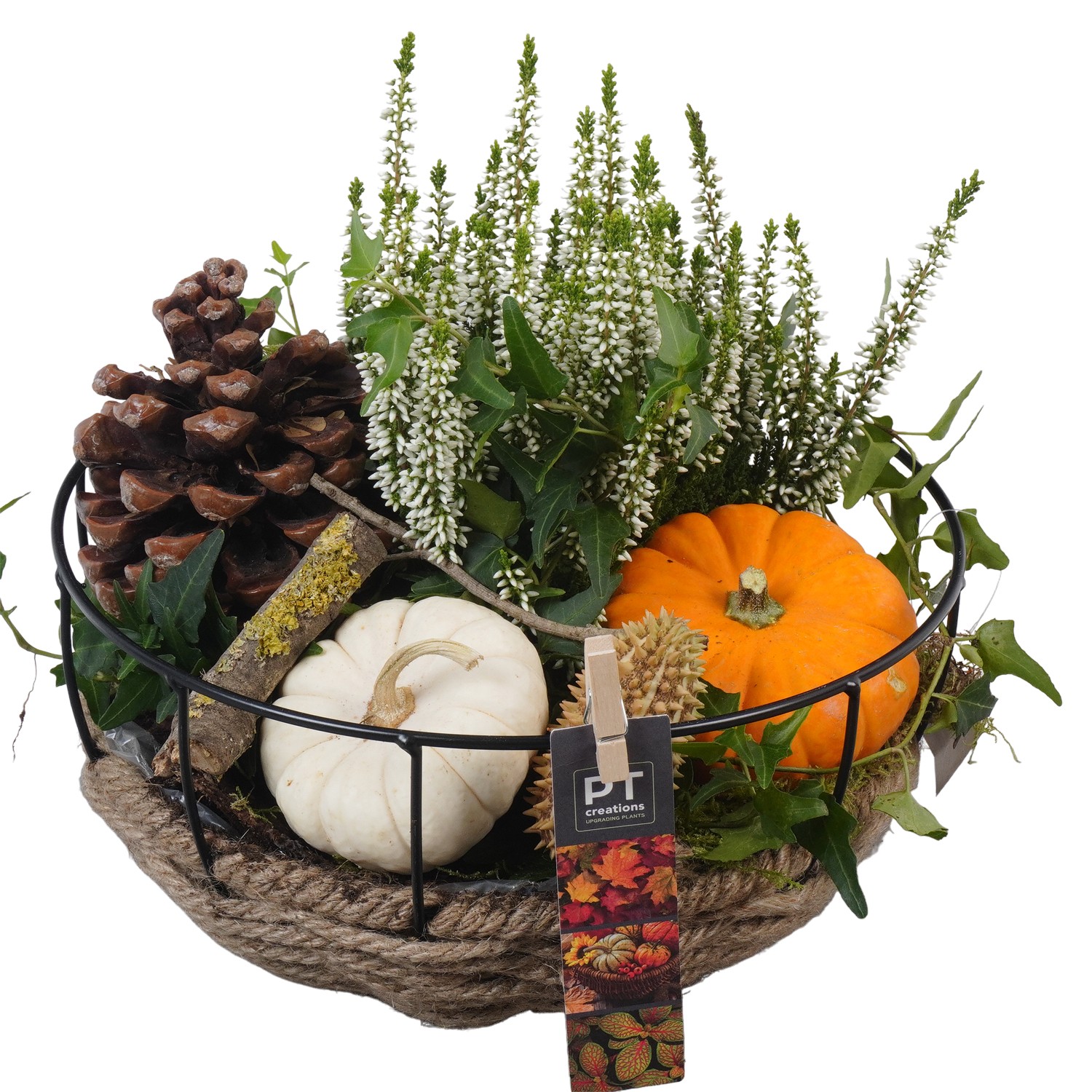 Picture of PTKBH5327 Arrangement Autumn Fruits in metal rope basket P25 27cm