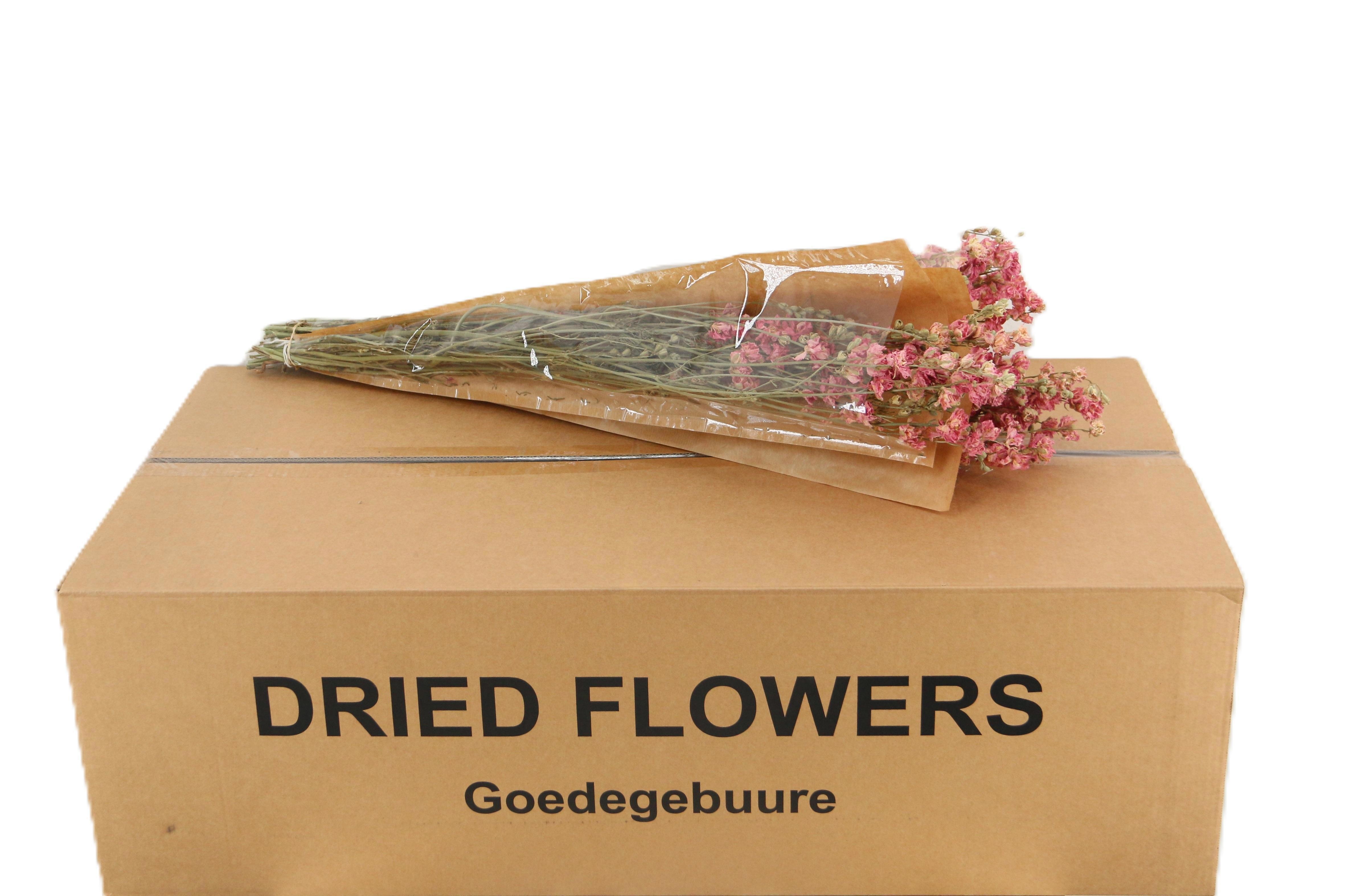 Droogbl Bewerkt H%