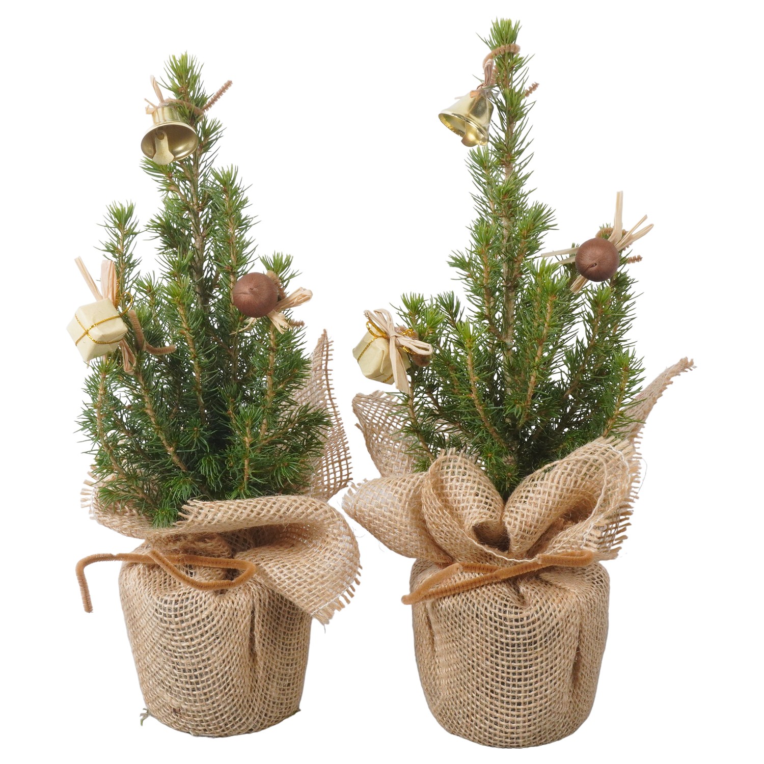 Picture of PTK24330 Picea Conica Perfecta in cloth and decoration P9 30CM