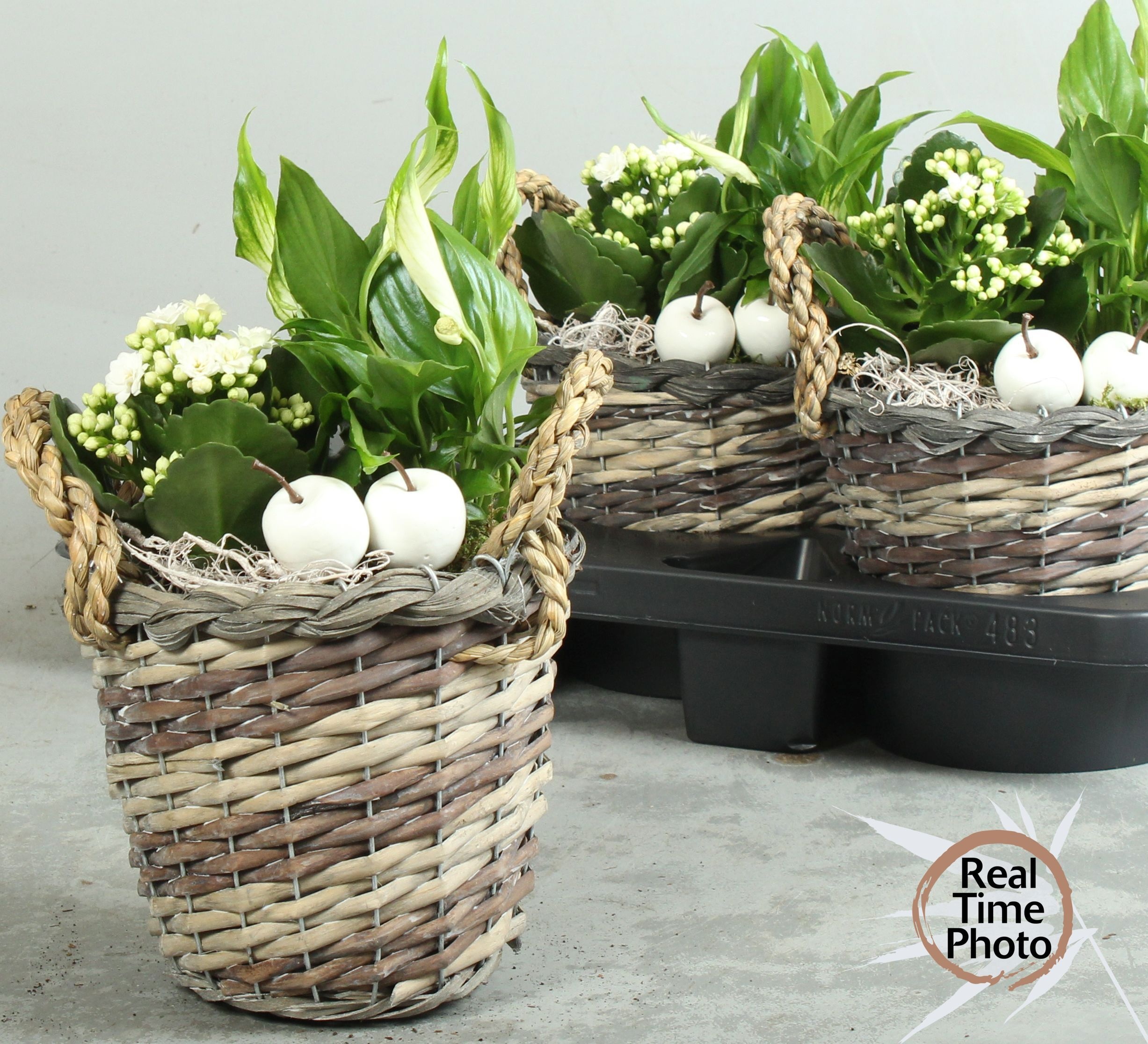 Arrangement Indoor 18Ø 25cm