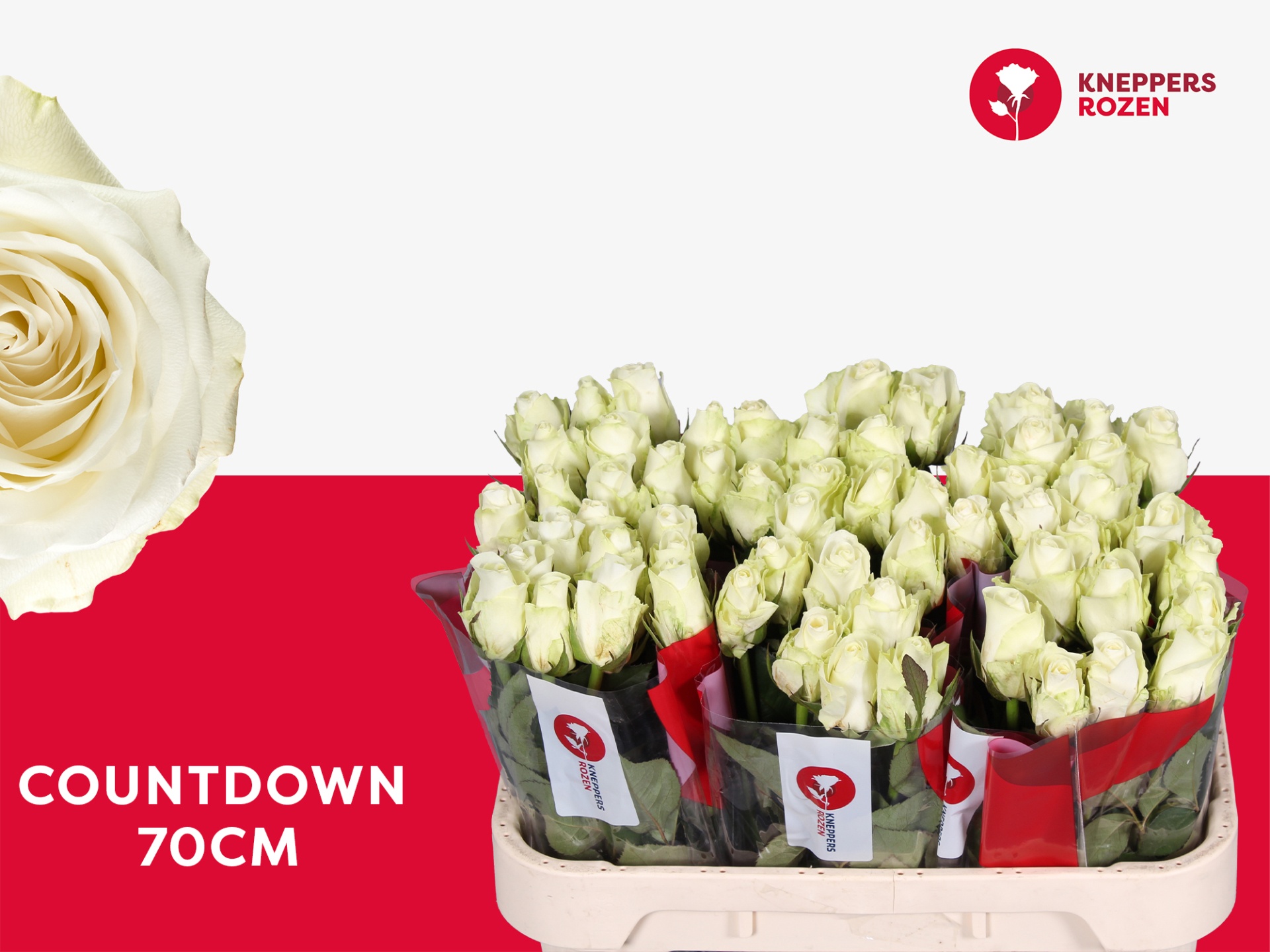 R Gr Countdown!