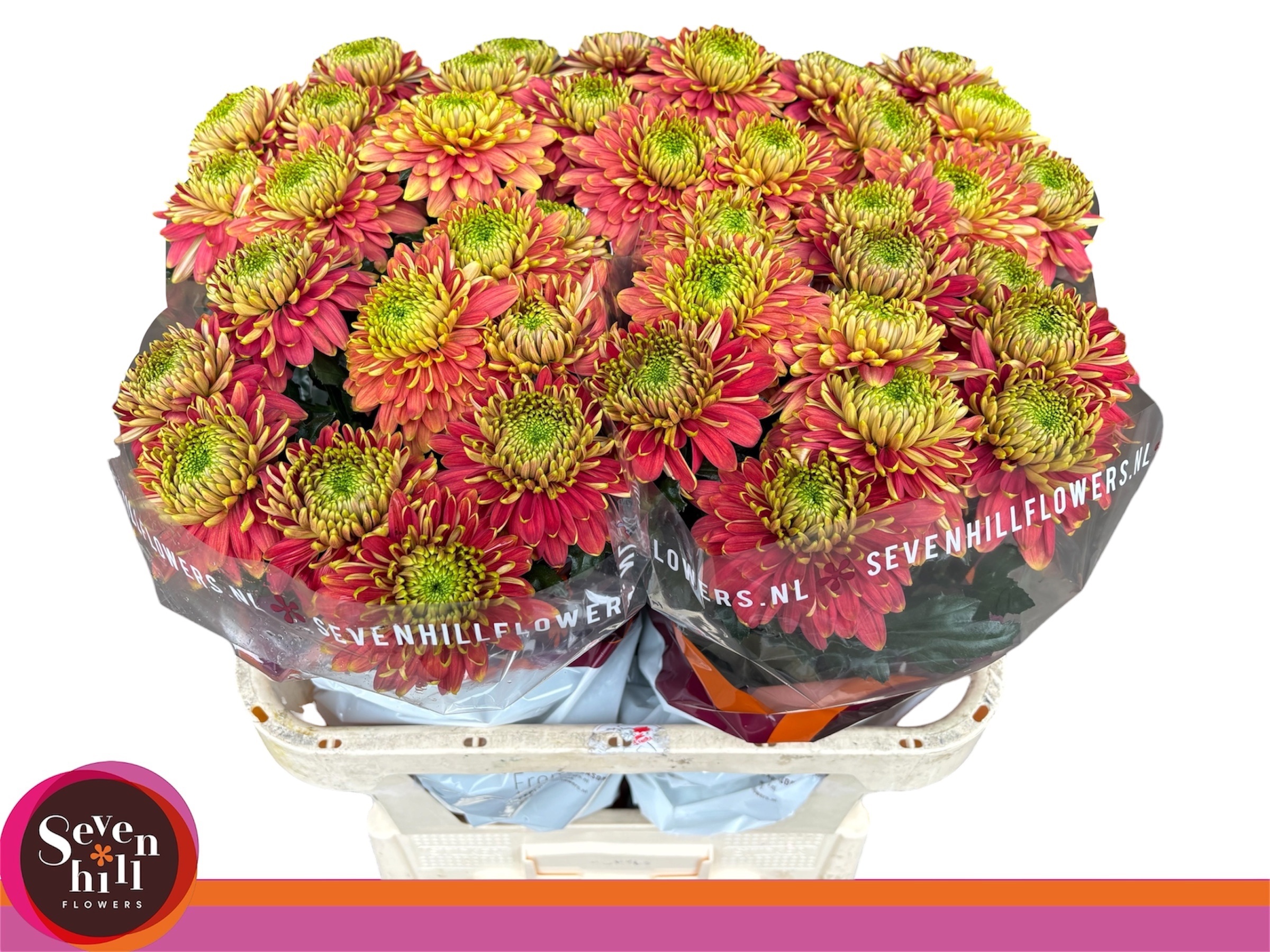 Chr G Prist Bronze 80cm 95gram